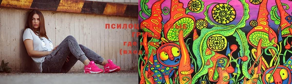 эйфоретик Новокубанск
