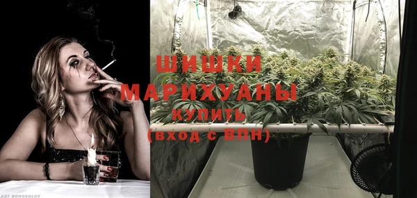 таблы Болотное