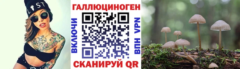 Купить закладки  Дятьково  Псилоцибиновые грибы мицелий 